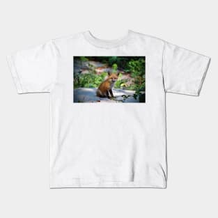 Red Fox Kit Kids T-Shirt